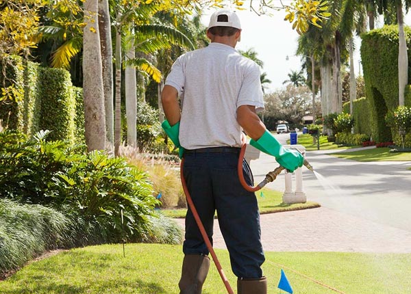 About Moody TX Pest Control Pros